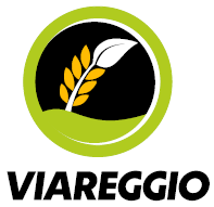 Sede di Viareggio