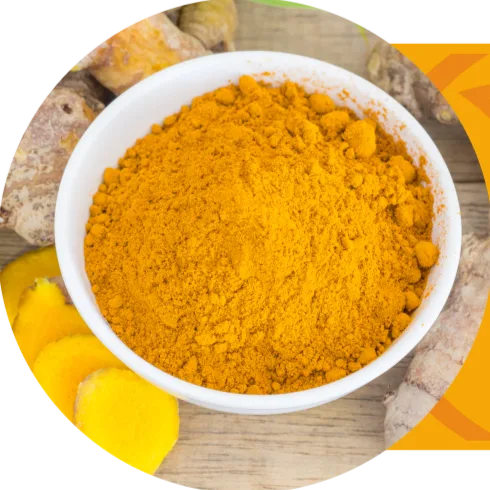 Curcuma in polvere in una ciotola bianca con radici fresche
