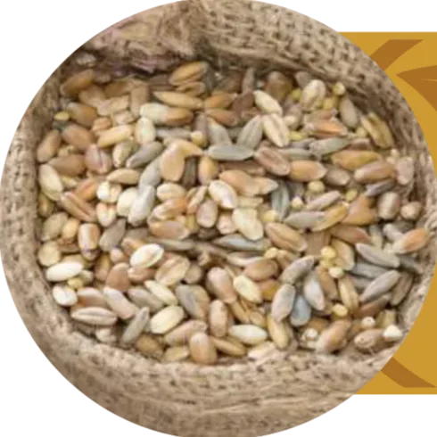 Mix di cereali in un sacco di juta