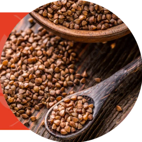 Grano saraceno in una ciotola e in un cucchiaio di legno